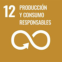 SDG 12