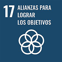 SDG 17