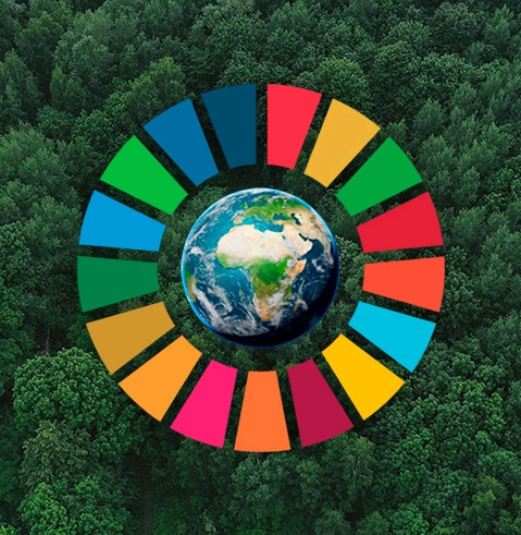 Objectivos de Desenvolvimento Sustentável da ONU