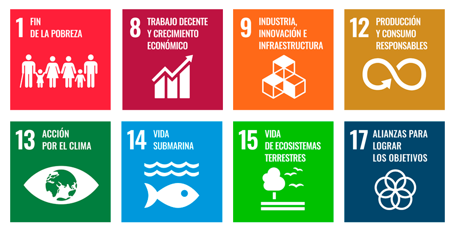 Proveedor sostenible para alcanzar tus objetivos medioambientales